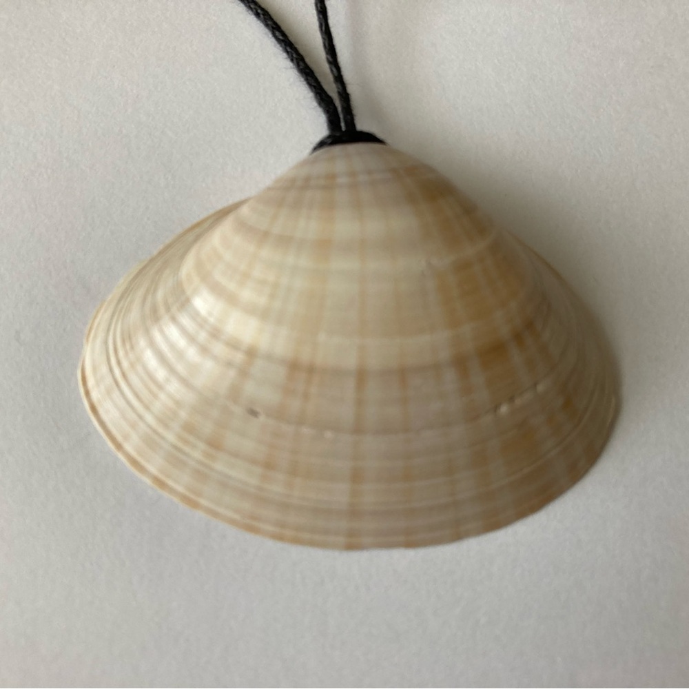 Natural Shell Pendant Necklace with Black Cord